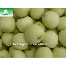 Fresh Golden Delicious Apple (18kg 72-80-88)